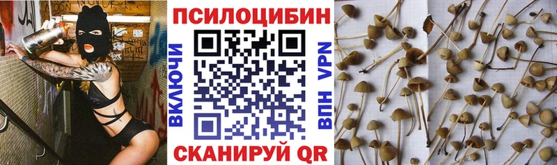 Псилоцибиновые грибы Magic Shrooms  Славгород 