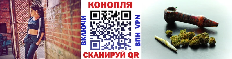 Бошки Шишки MAZAR  Славгород 